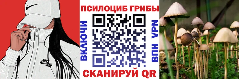 МЕГА как войти  Ужур  Галлюциногенные грибы Psilocybine cubensis  где продают  
